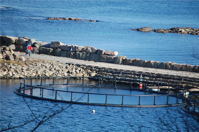 полимерные трубы для акваферм